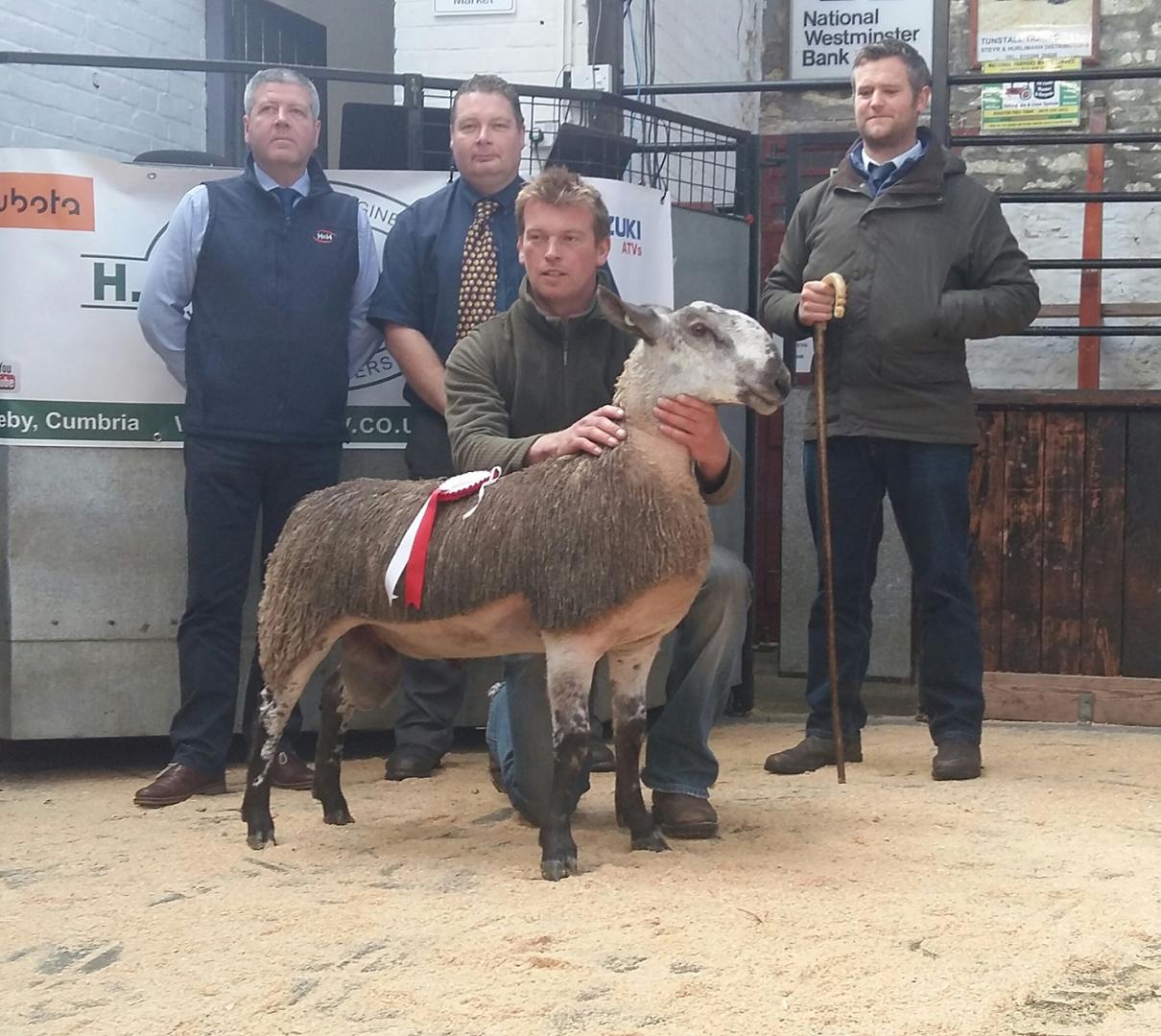 Barningham ram lamb takes top spot in annual show at Middleton Mart