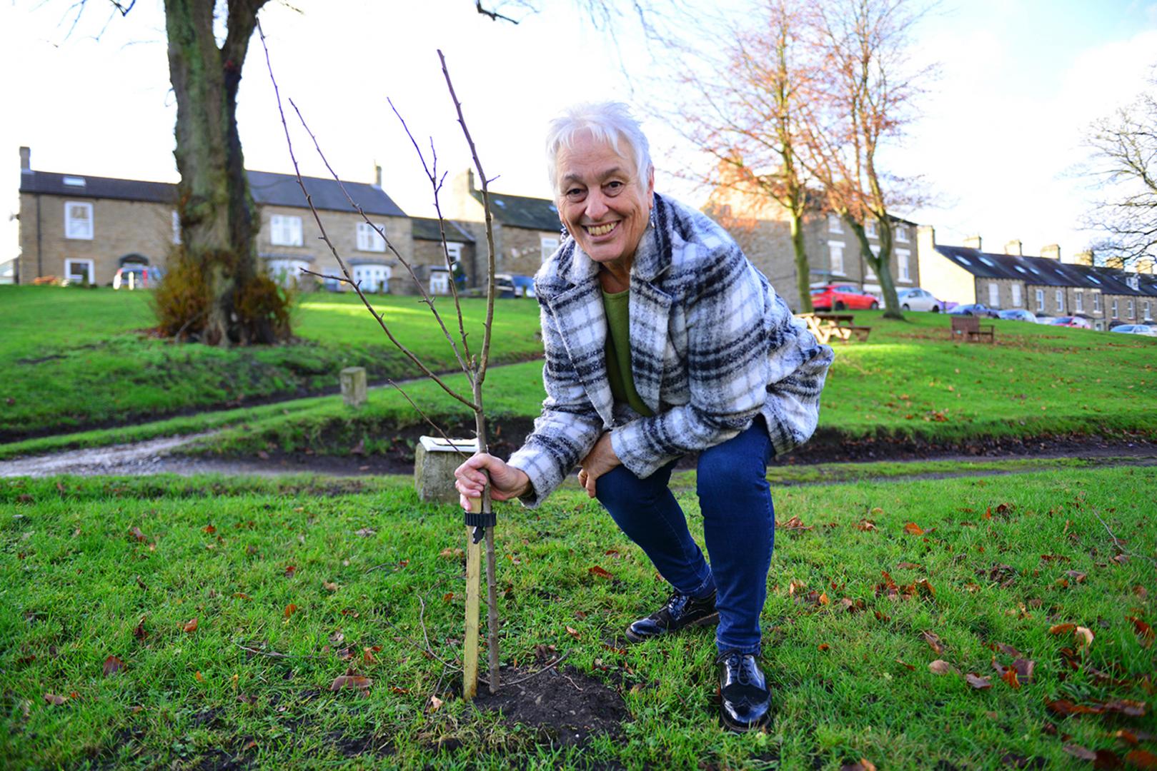 Middleton-in-Bloom group plants crab apples to boost village’s golden credentials
