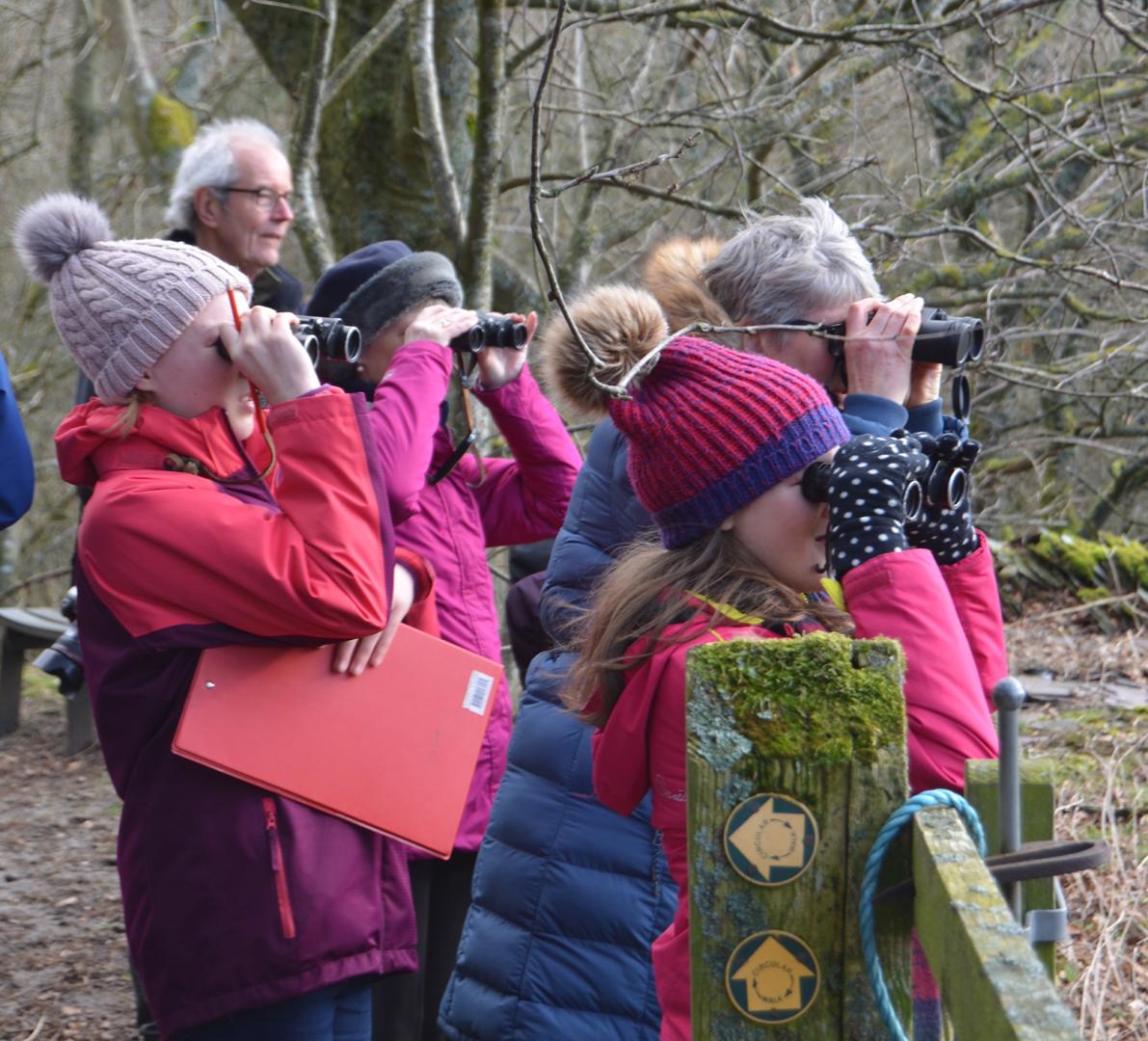 Wildlife watchers enjoy a flight of fancy