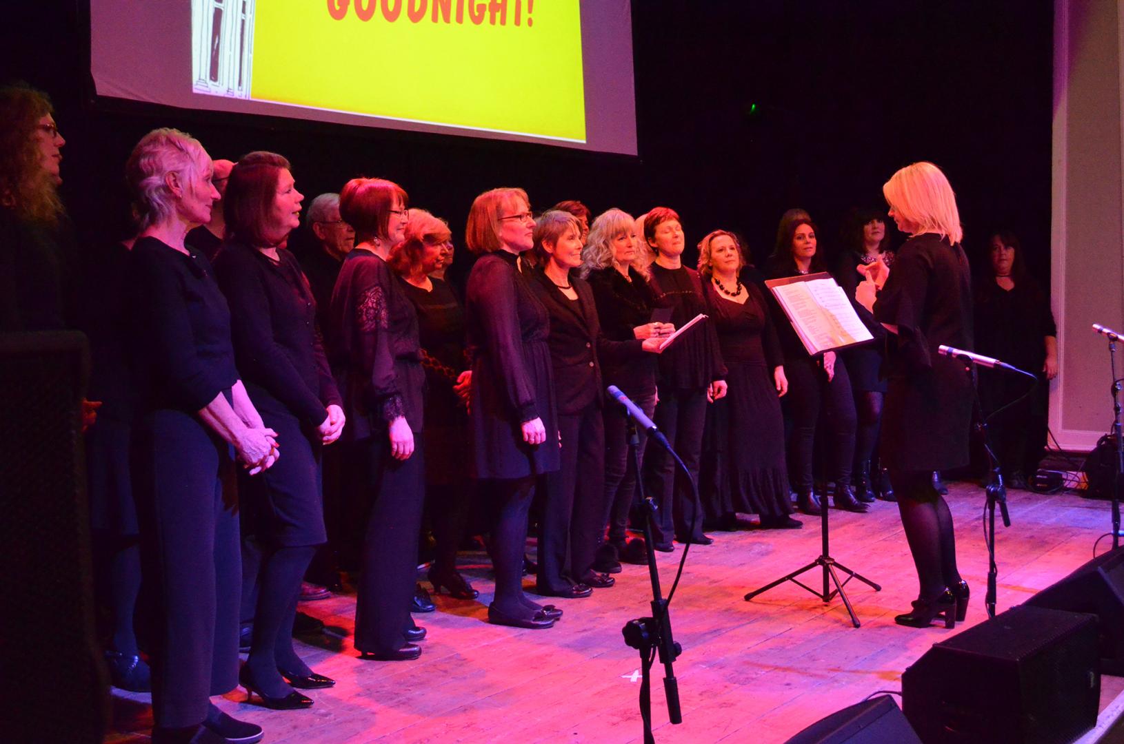 Variety show adds £1,000 to The Witham’s coffers