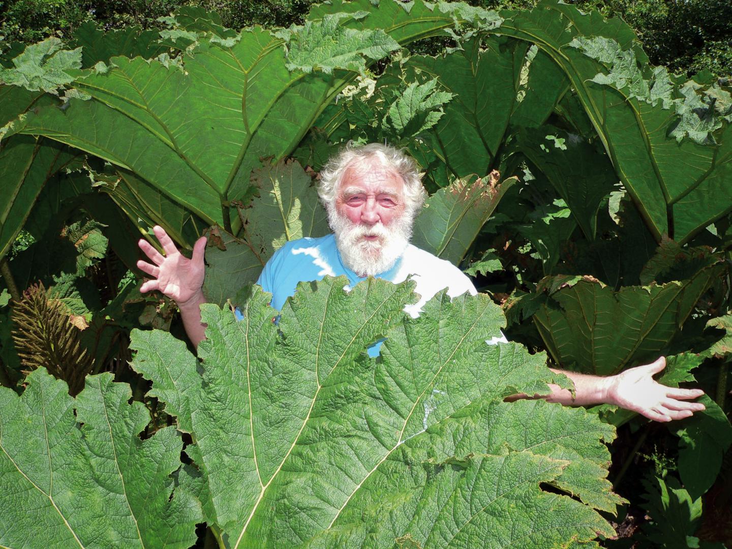 The jolly green giant who became a TV star