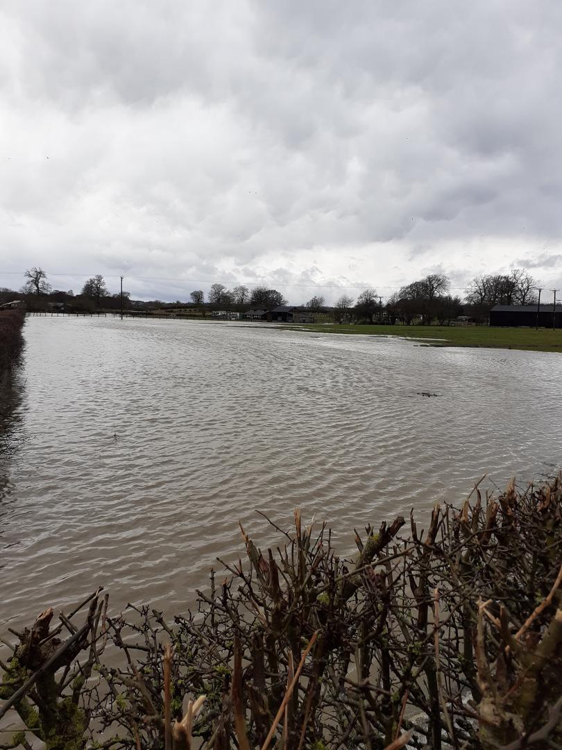 Building on field will reduce risk of flood, says landowner