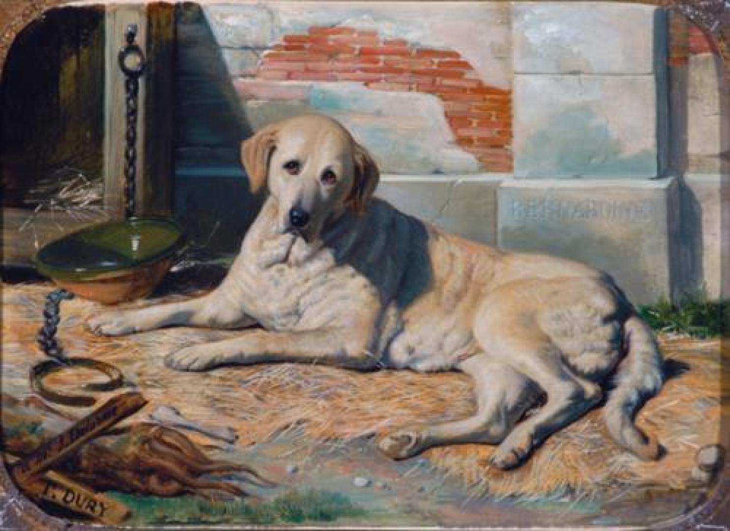 Museum Musings: And they call it puppy love – Josephine’s animal attraction