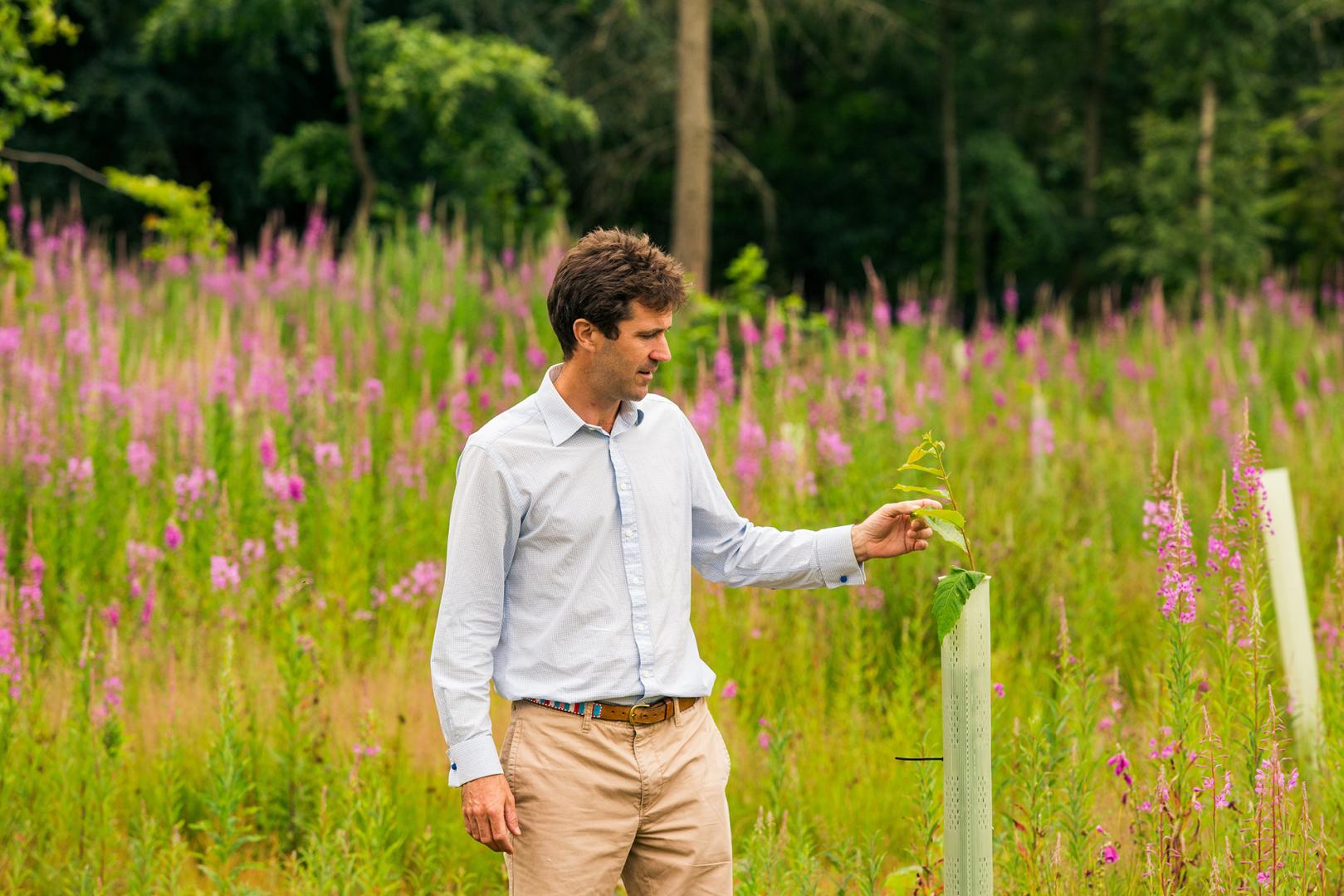 Don’t miss the chance to shape future of forestry