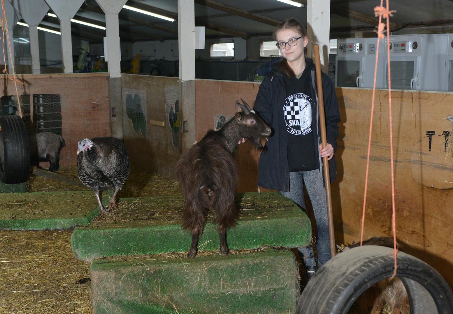 Animal sanctuary staff stunned by response to appeal
