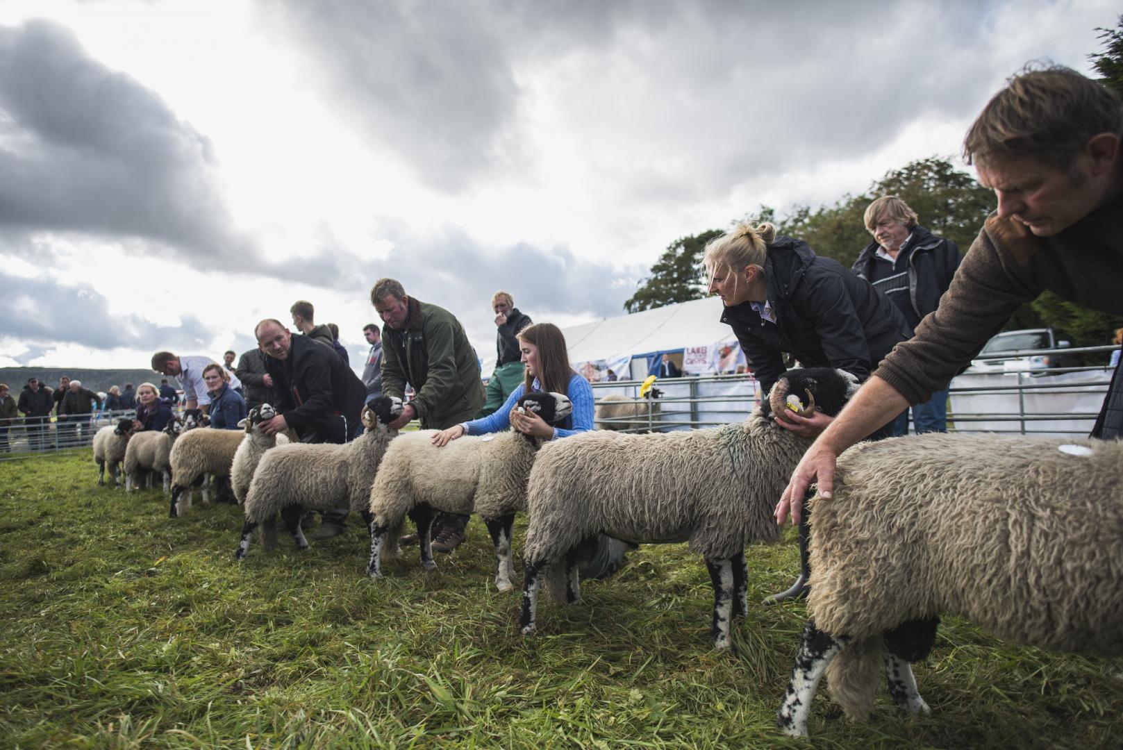 Show organisers hopeful this year’s events will go ahead