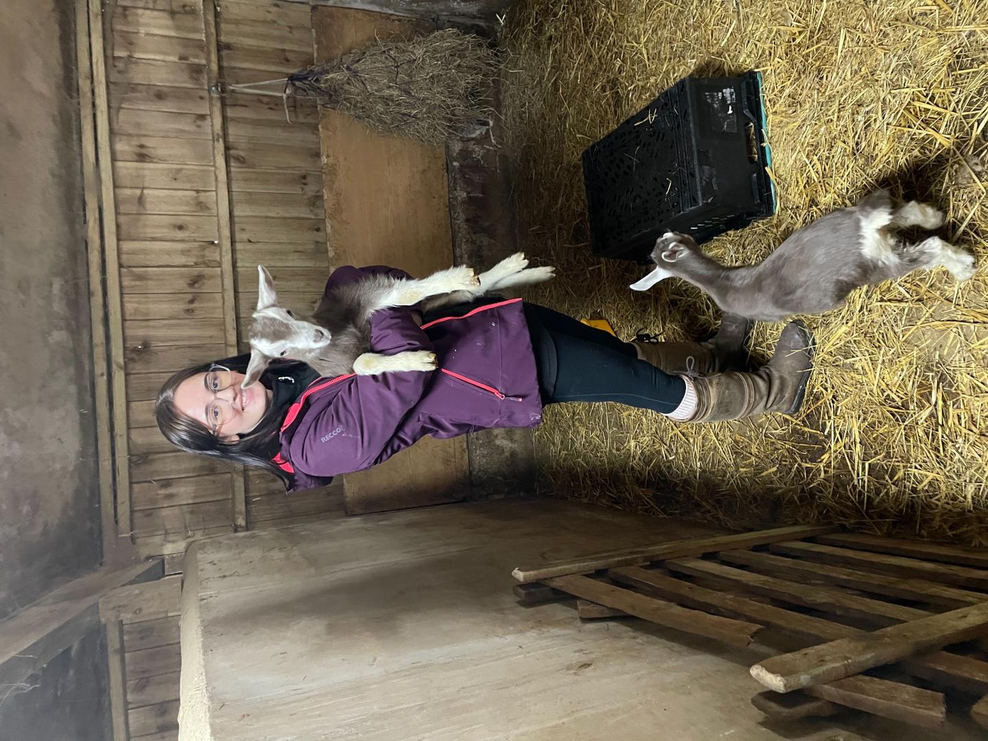 Rehabilitation centre at dale animal shelter would help native wildlife
