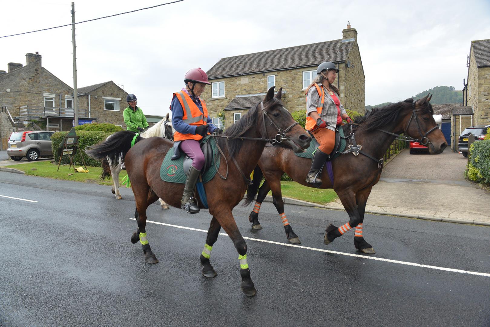 Botanist saddles up in bid to save dale’s rare flora