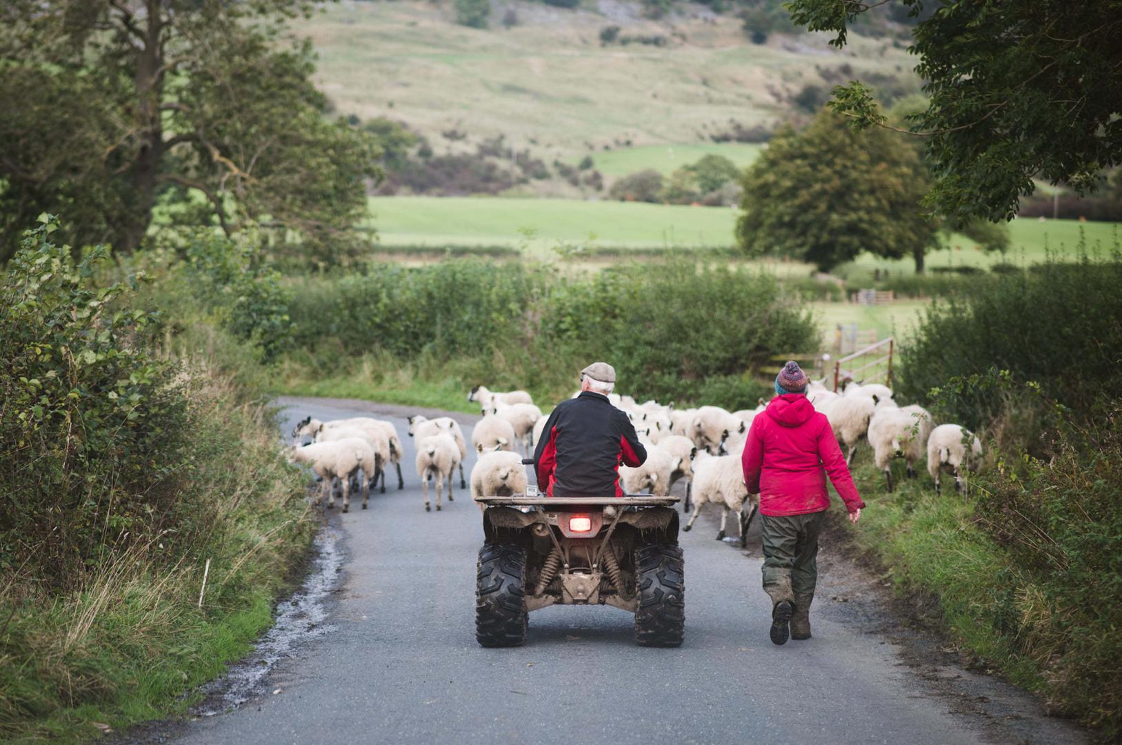 Landowners urged to think of cyclists when cutting hedges