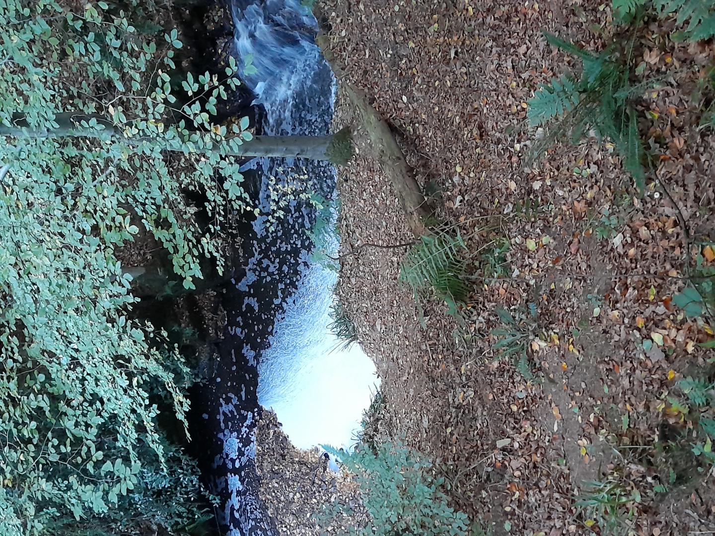 Beck pollution causes concern