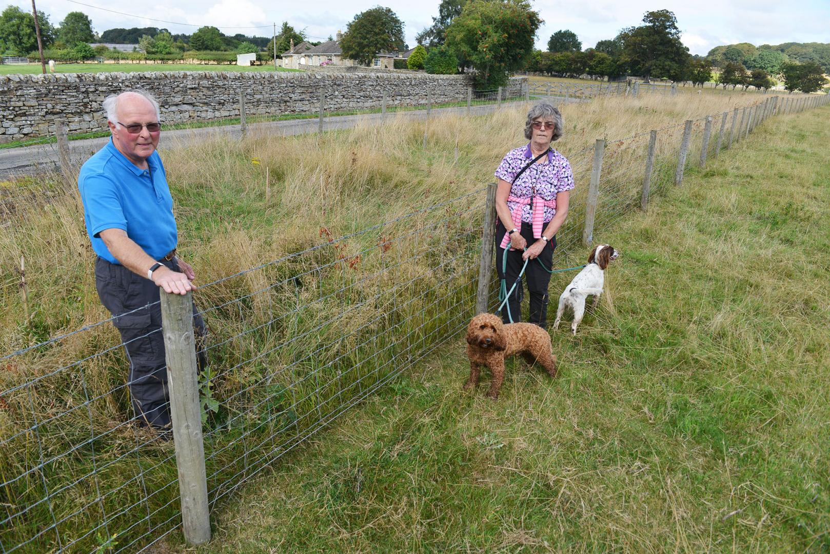 Trees for Teesdale plea for more sites to plant saplings