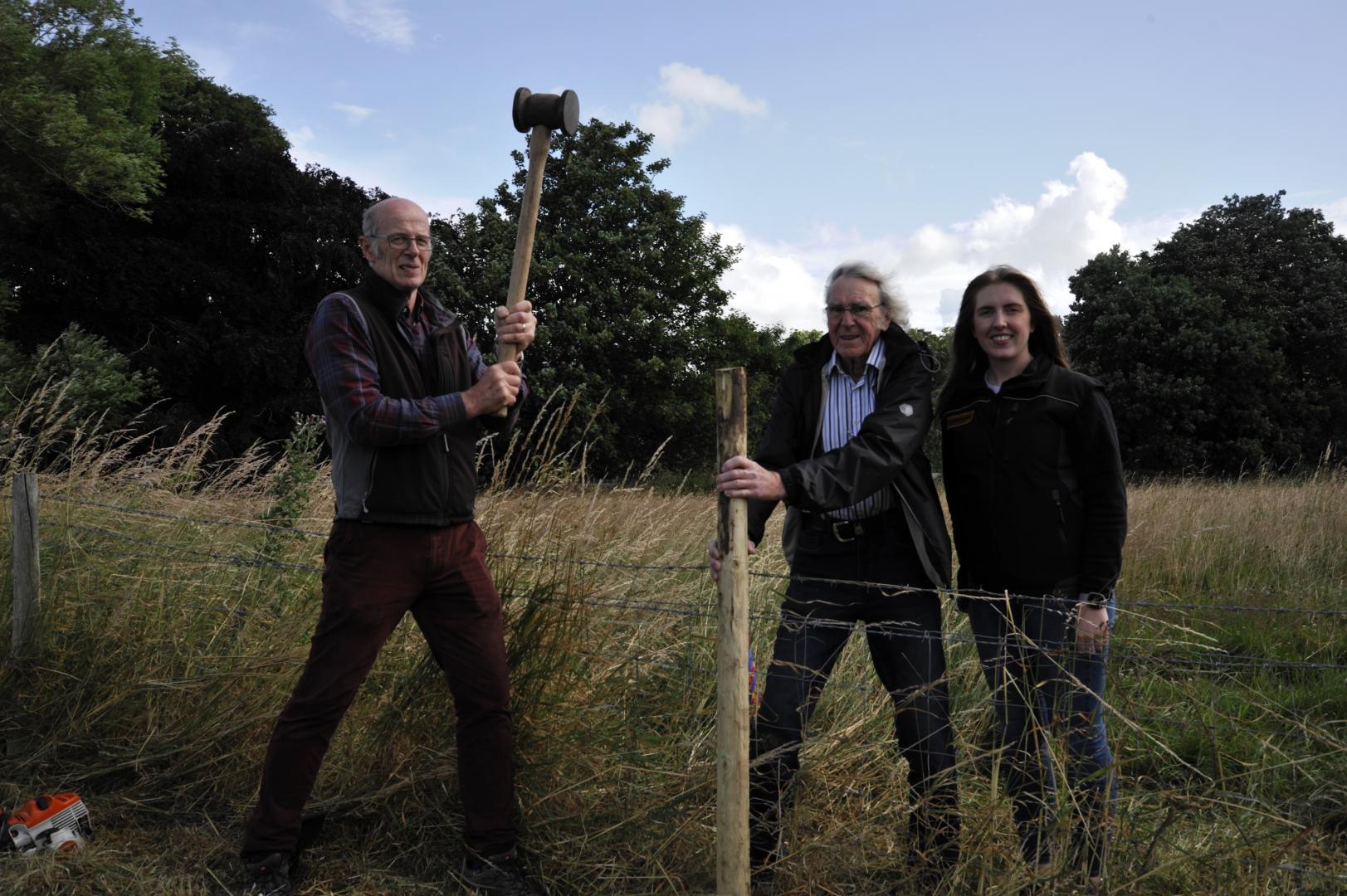 Sheep may safely graze thanks to fencing donation for Demesnes