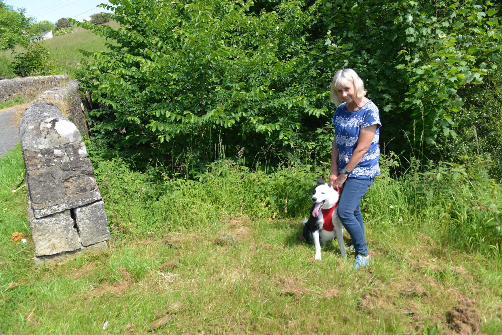 Clearing overgrown beck ‘risks fires’