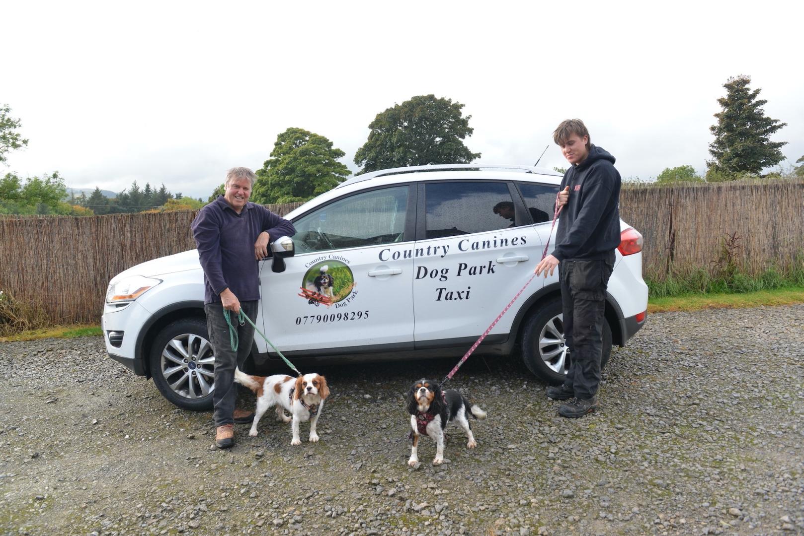 New taxi service so dogs can go walkies