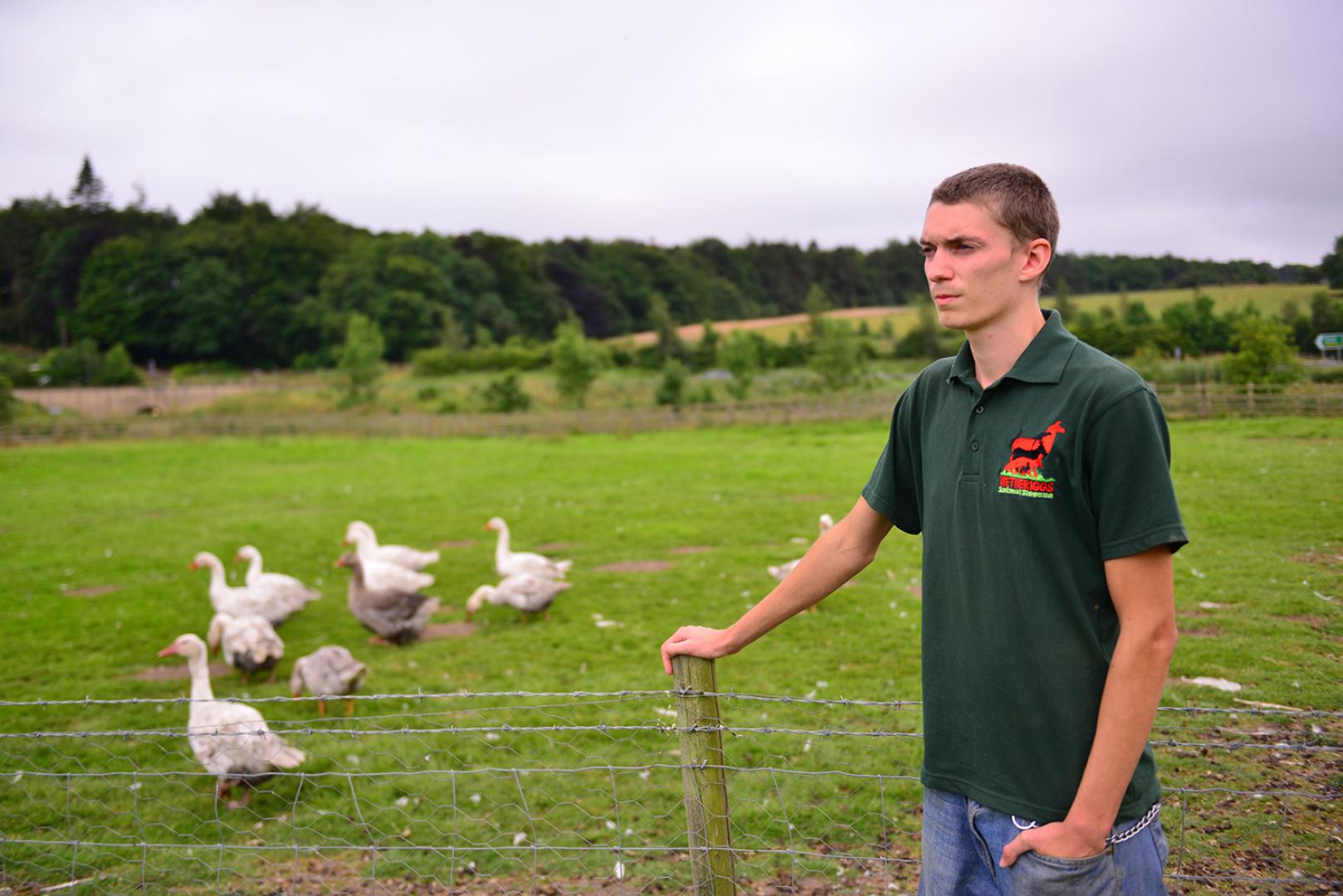 Shock as geese are slaughtered at Teesdale animal sanctuary