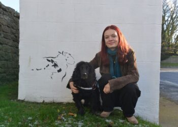 Bus shelter artwork celebrates Ingleton’s charms