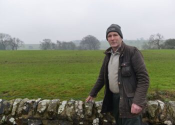 Major changes ahead for 150th Bowes Show