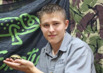 Animal adventures await at TCR Hub